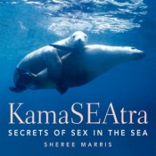 KamaSEAtra - Secrets of Sex in the Sea